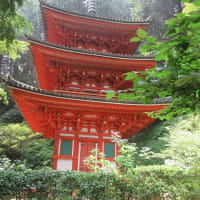 関西花の寺２５ゕ寺　第１５番・岩船寺