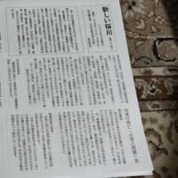 「新しい桜川第77号（3月議会報告」は、3月24日に新聞に折り込まれます