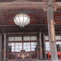 金剛力士像が迎えてくれる！護国寺！不老門を潜ると大仏も六地蔵もいるよ！