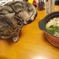 お腹が空いた日