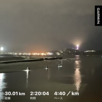 新しいシューズで30km走、