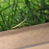 ひとあんしん