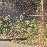 バイクツーリング２５（高野山、龍神、白浜）