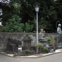 向井芳幸のブログ