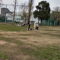 桜を待って