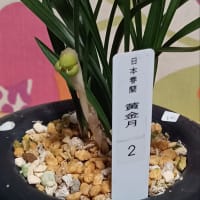 今日いち-2025年3月3日