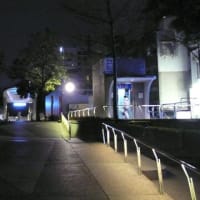台湾10万歩行　１６　饒河街夜市と寧夏夜市と