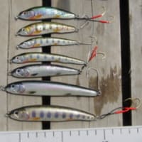 魚皮貼りに挑戦!!・・・ - 真木ルアー製作日記 魚皮貼りに挑戦!!・・・ - 真木ルアー製作日記