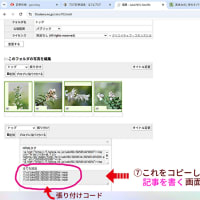 はてなブログ、まとめて画像アップロード