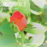 柴咲コウ 35歳の少女 全話あらすじネタバレ感想 心は10歳体は35歳 鑪選り 漫画 小説 ドラマ感想