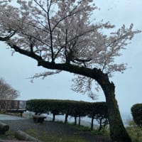 ブルーインパルス