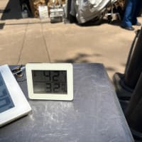 上野のパンダたち
