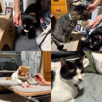 2025/6/21の歯磨きタイム