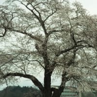 千曲川~~歌のない歌謡曲