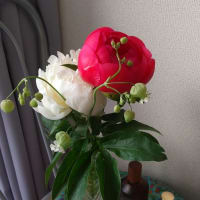 お花。