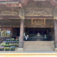 紫陽花の思い出