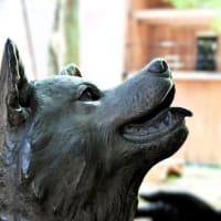 東京大学 ハチ公像