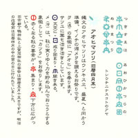 ☾アオヒマツリ【旧暦四月末・西暦2025.5.26】