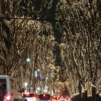 仙台 光のページェント