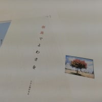 「奈良でよわさを」PDF版