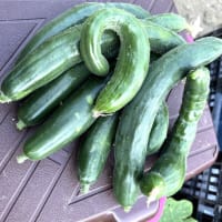 7月6日（日）②