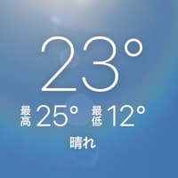 プール：晴12〜25℃
