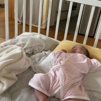 我が家の家族を紹介します①