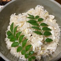 おろし冷しゃぶサラダ