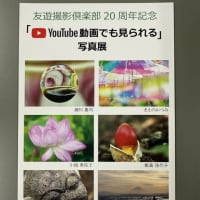 写真展のお知らせ