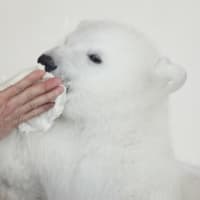 お口ふき