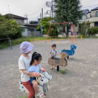 クリンへの想いは尽きなくて・・・303