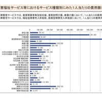 【障害福祉分野の報酬改定に関する意見】