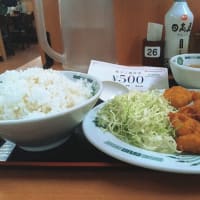【株主優待】日高屋：唐揚げ定食(2025年6月)
