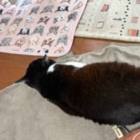 け　とりましょー。