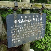 思い立ったら