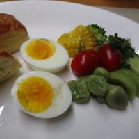 クリームパン、平飼い卵ゆで卵で朝ごはん♪