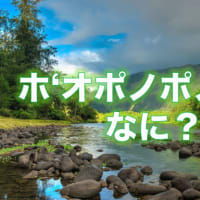⭐️ホ’オポノポノって何？⭐️