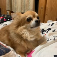 お久しぶりですm(._.)m