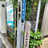 5月の思い出②