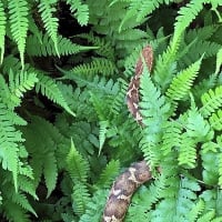 猛暑を避けて・・・上越方面