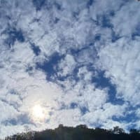 無念が悪いわけではない