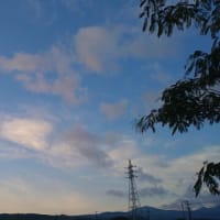 天城の山と花の空
