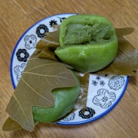 お寿司と柏餅