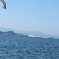 浦富海岸 クルージング