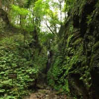 久々の山行、それは人生の縮図だった... Part 1