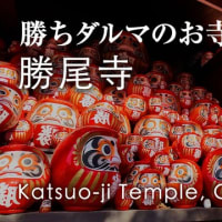 【JAPAN 4K】[イッキ見] 勝尾寺(ダルマ寺)と箕面大滝🍁秋の紅葉狩りバスツアー✨#女子旅 アクセス方法・交通  Vlog#7 #osmopocket3 #パワースポット #ライトアップ
