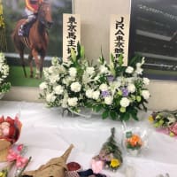 東京競馬場にて献花