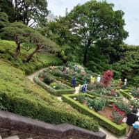 旧古河庭園へ行った話⑤
