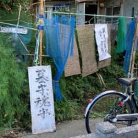 老人日記（１６）
