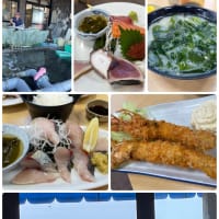 羽田から徳島県へ旅行